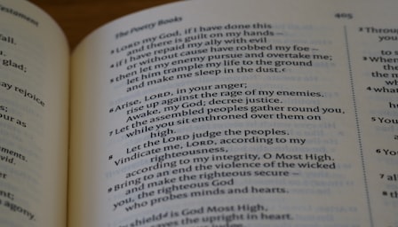 All 12 English Tenses (Complete Guide)