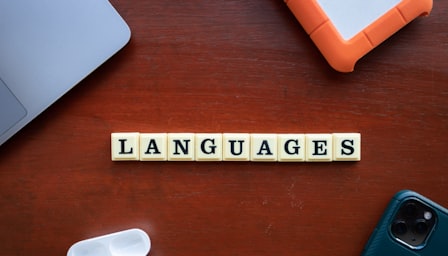 Basic English Vocabulary