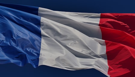 Basic French Vocabulary