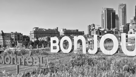Business French - everyday phrases in action