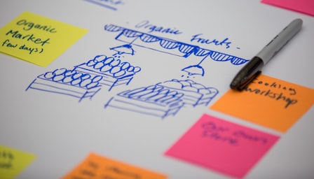 Business Model Canvas Course: Strategyzer Framework and Startup Strategy
