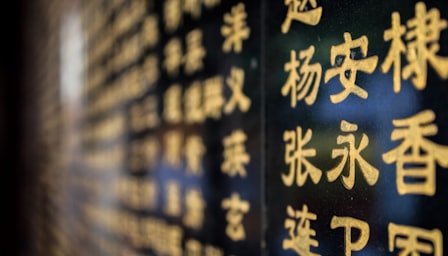 Chinese beginners level