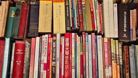 Chinese Learning for Beginners A1