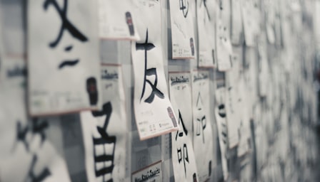 Japanese Vocabulary and Slang