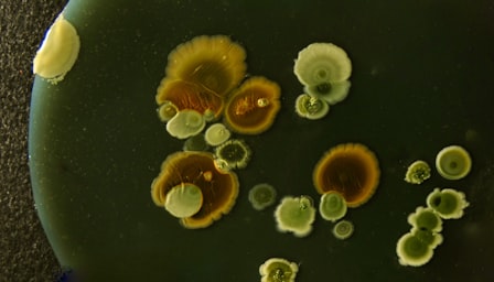 Microbiology