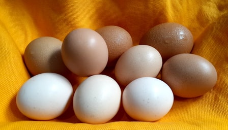 Nutrition basics to be Health